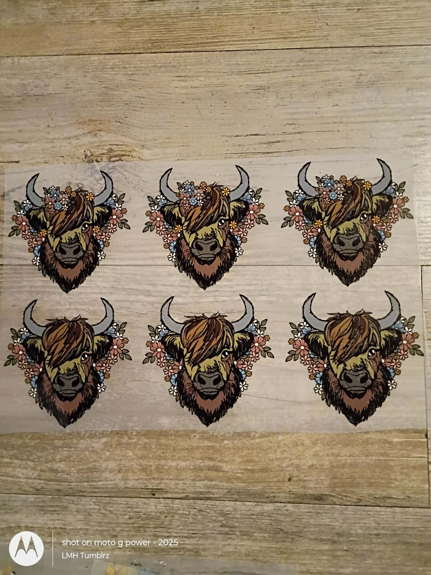 Highland Cow (Ready-to-Press DTF Transfer)