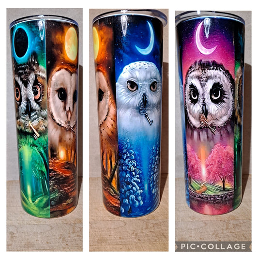 Owls